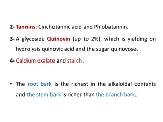 2- Tannins: Cinchotannic acid and Phlobatannin.
3- A glycoside Quinovin (up to 2%), which is yielding on
hydrolysis quinovic acid and the sugar quinovose.
4- Calcium oxalate and starch.
• The root bark is the richest in the alkaloidal contents
and the stem bark is richer than the branch bark.
 