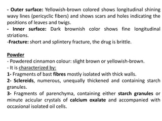 - Outer surface: Yellowish-brown colored shows longitudinal shining
wavy lines (pericyclic fibers) and shows scars and holes indicating the
positions of leaves and twigs.
- Inner surface: Dark brownish color shows fine longitudinal
striations.
-Fracture: short and splintery fracture, the drug is brittle.
Powder
- Powdered cinnamon colour: slight brown or yellowish-brown.
- It is characterized by:
1- Fragments of bast fibres mostly isolated with thick walls.
2- Sclereids, numerous, unequally thickened and containing starch
granules.
3- Fragments of parenchyma, containing either starch granules or
minute acicular crystals of calcium oxalate and accompanied with
occasional isolated oil cells.
 
