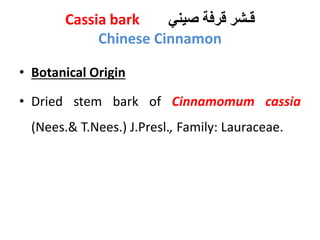 Cassia bark ‫صيني‬ ‫قرفة‬ ‫قـشر‬
Chinese Cinnamon
• Botanical Origin
• Dried stem bark of Cinnamomum cassia
(Nees.& T.Nees.) J.Presl., Family: Lauraceae.
 