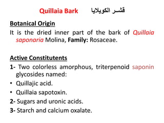 Quillaia Bark ‫الكوياليا‬ ‫قشــر‬
Botanical Origin
It is the dried inner part of the bark of Quillaia
saponaria Molina, Family: Rosaceae.
Active Constitutents
1- Two colorless amorphous, triterpenoid saponin
glycosides named:
• Quillajic acid.
• Quillaia sapotoxin.
2- Sugars and uronic acids.
3- Starch and calcium oxalate.
 
