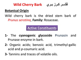 Wild Cherry Bark ‫بـري‬ ‫كـرز‬ ‫قشــر‬
Botanical Origin
Wild cherry bark is the dried stem bark of
Prunus serotina, Family: Rosaceae.
1- The cyanogenic glycoside Prunasin and
Prunase enzyme in bark.
2- Organic acids; benzoic acid, trimethyl-gallic
acid and p-coumaric acid.
3- Tannins and traces of volatile oils.
Active Constituents
 