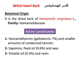 Witch-hazel Bark ‫الهـمـاميـلـس‬ ‫قشــر‬
Botanical Origin
It is the dried bark of Hamamelis virginiana L.,
Family: Hamamelidaceae.
1- Hamamelitannin (gallotannin 7%) and smaller
amounts of condensed tannins.
2- Saponins, fixed oil (0.6%) and wax.
3- Volatile oil (0.5%) and resin.
Active Constituents
 