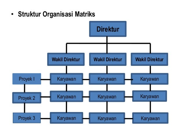 Struktur Organisasi Dan Proses Produksi Perusahaan 