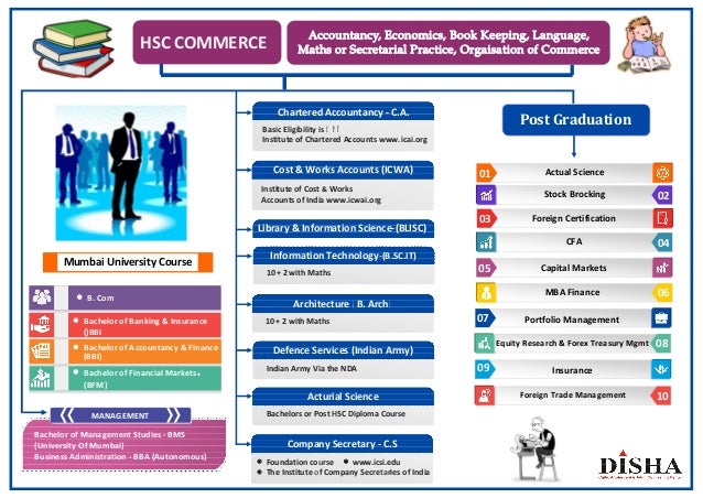 Commerce Career Chart