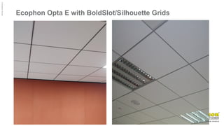 ©
Ecophon
Group
Ecophon Opta E with BoldSlot/Silhouette Grids
 