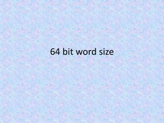 64 bit word size