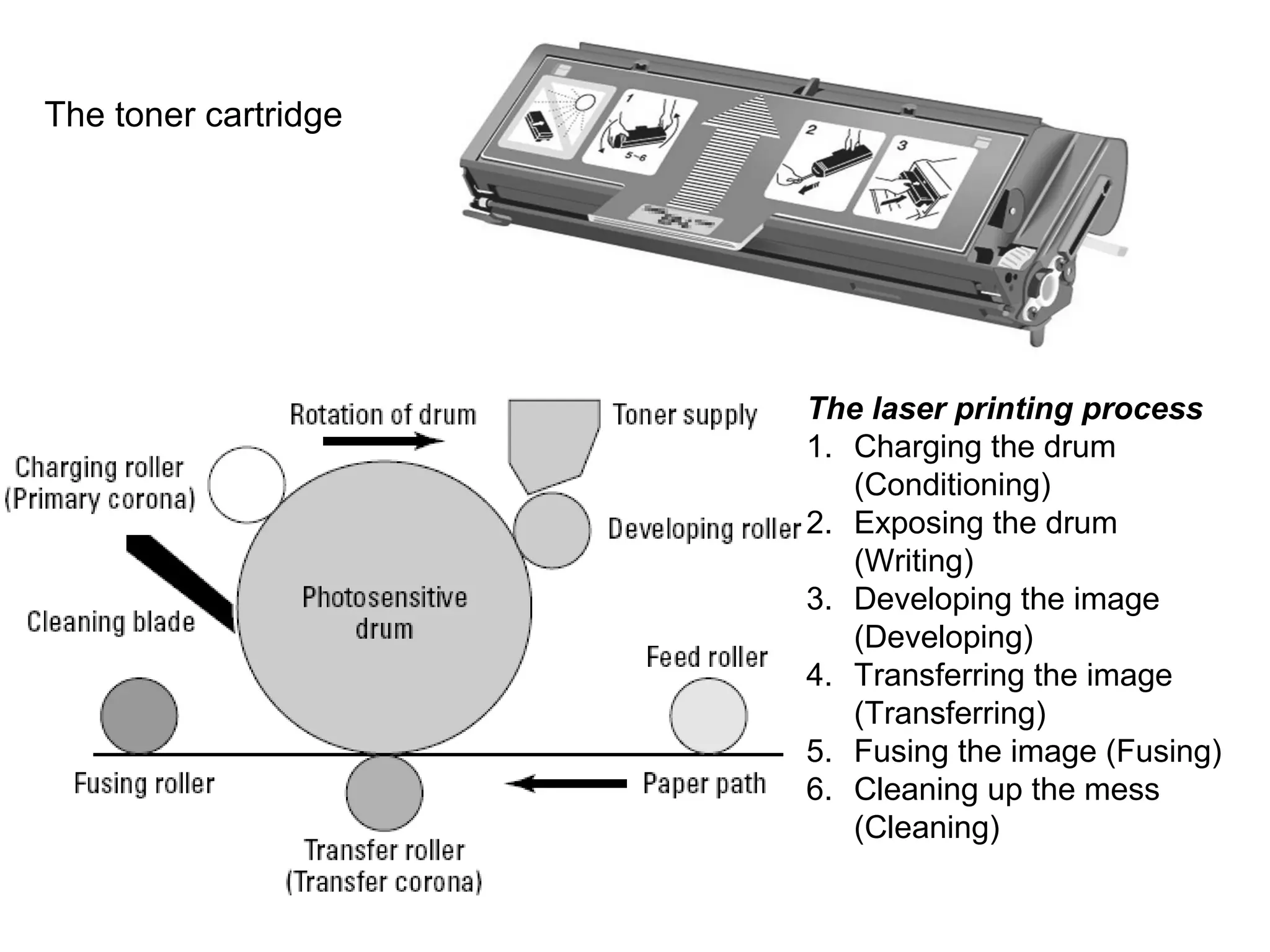 The laser printing process
1. Charging the drum
(Conditioning)
2. Exposing the drum
(Writing)
3. Developing the image
(Developing)
4. Transferring the image
(Transferring)
5. Fusing the image (Fusing)
6. Cleaning up the mess
(Cleaning)
The toner cartridge
 