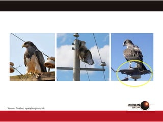 Source: Pixabay, operationjimmy.uk
 