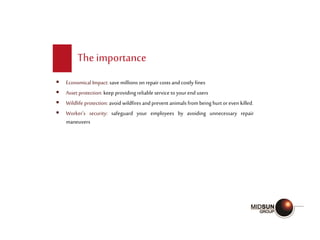 The importance
 Economical Impact: save millions on repaircosts andcostly fines
 Asset protection: keep providingreliable service toyourend users
 Wildlife protection: avoidwildfires andprevent animals from being hurt oreven killed.
 Worker’s security: safeguard your employees by avoiding unnecessary repair
maneuvers
 