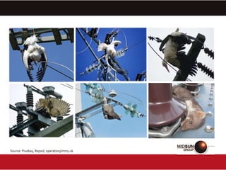 Source: Pixabay, Repsol, operationjimmy.uk
 