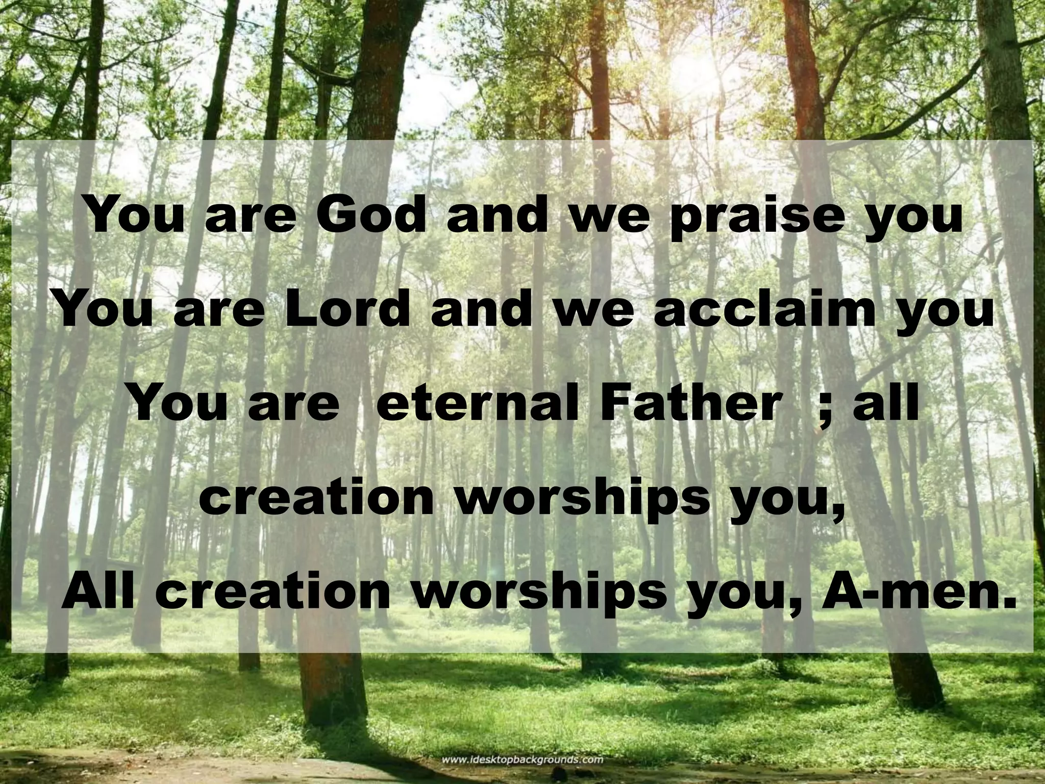You are God and we praise you
You are Lord and we acclaim you
You are eternal Father ; all
creation worships you,
All creation worships you, A-men.