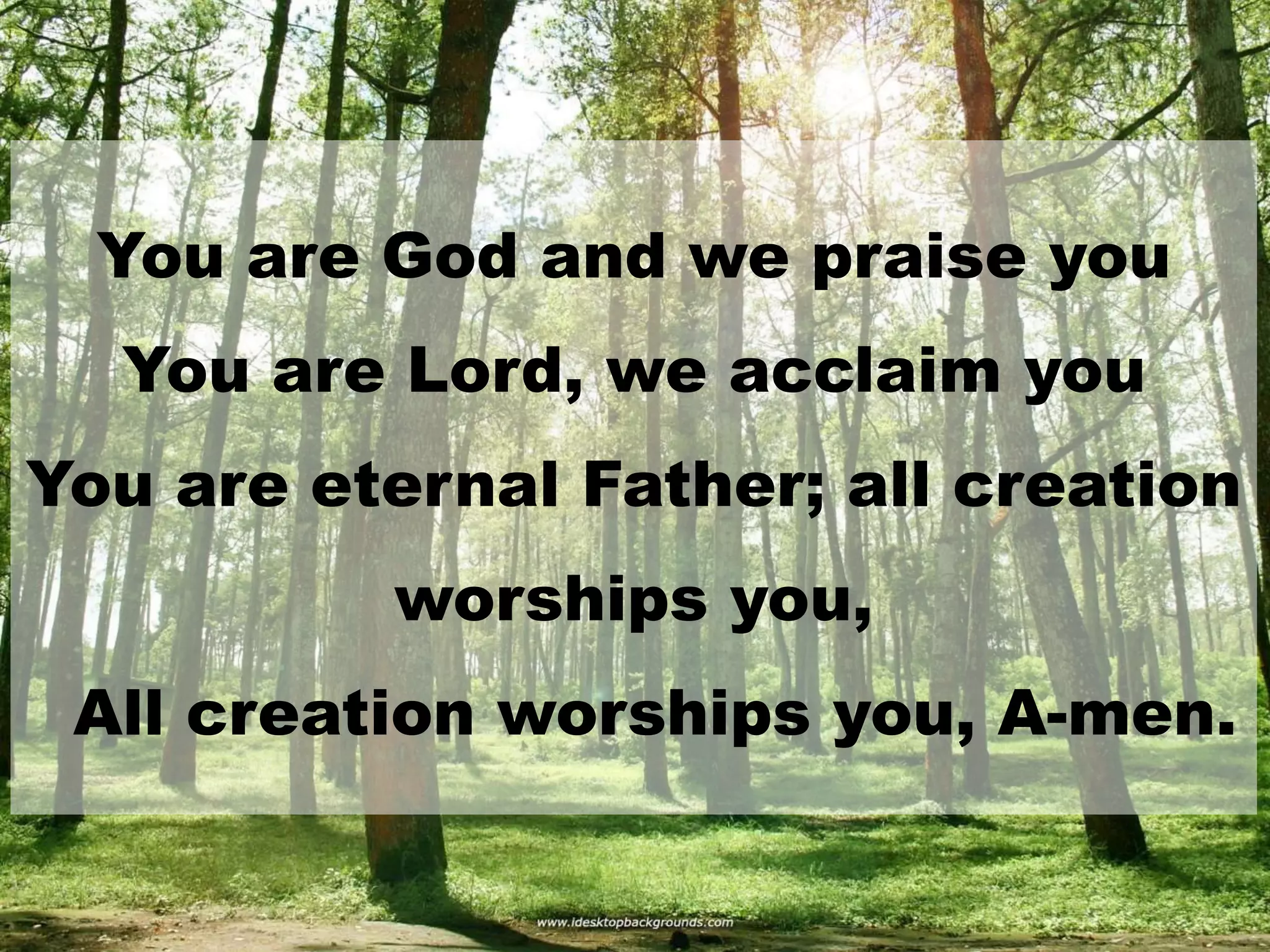 You are God and we praise you
You are Lord, we acclaim you
You are eternal Father; all creation
worships you,
All creation worships you, A-men.