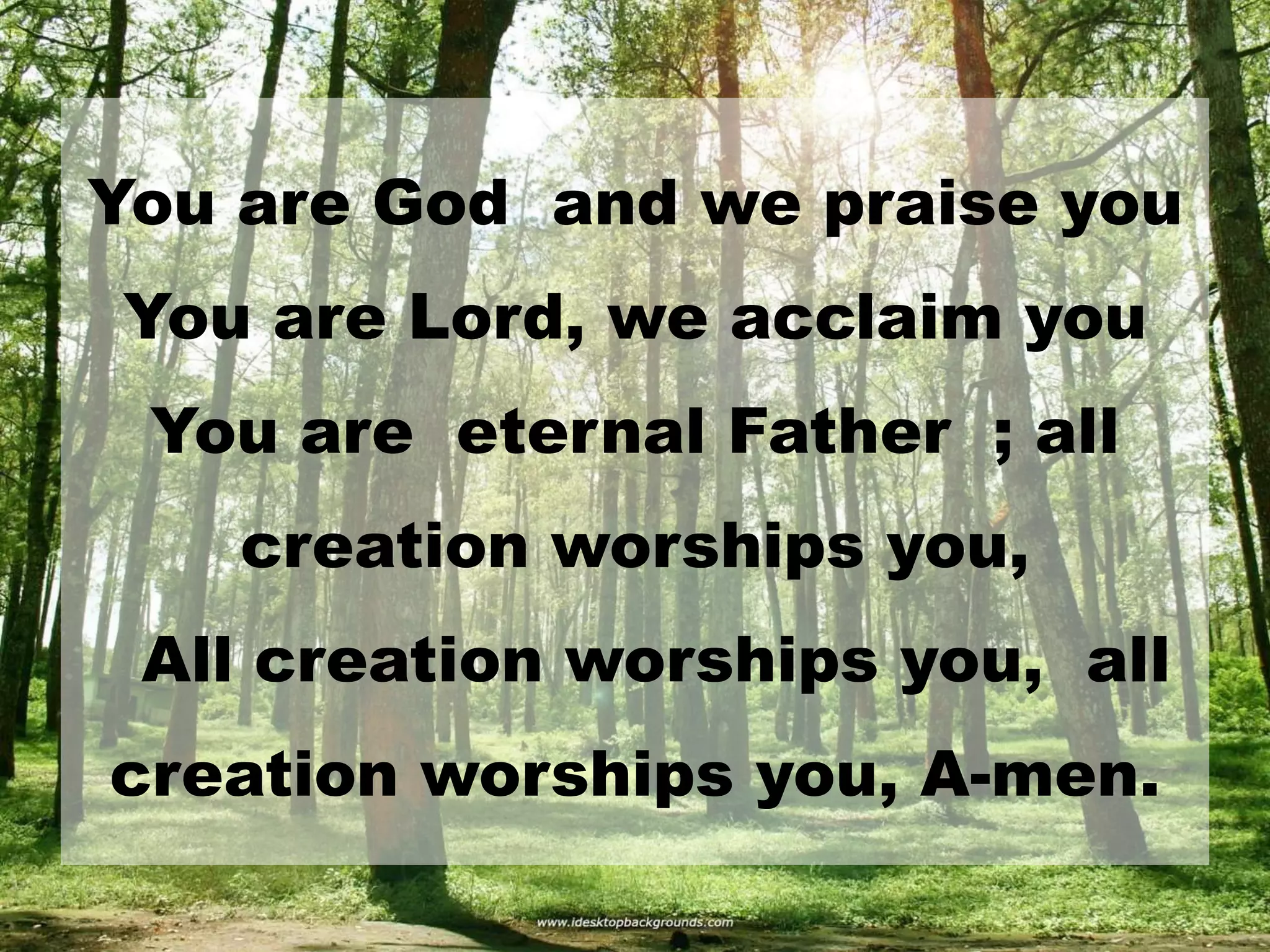 You are God and we praise you
You are Lord, we acclaim you
You are eternal Father ; all
creation worships you,
All creation worships you, all
creation worships you, A-men.