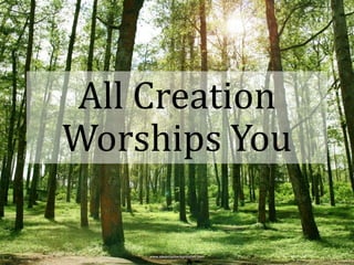 All Creation
Worships You
 