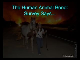 The Human Animal Bond:
Survey Says...

APMA, AVMA, AHA

 