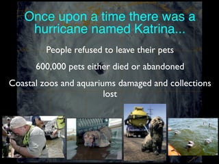 Once upon a time there was a
hurricane named Katrina...
People refused to leave their pets
600,000 pets either died or abandoned
Coastal zoos and aquariums damaged and collections
lost

 