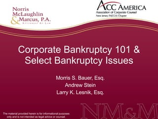 Corporate Bankruptcy 101 & Select Bankruptcy Issues Morris S. Bauer, Esq. Andrew Stein Larry K. Lesnik, Esq. The material provided herein is for informational purposes only and is not intended as legal advice or counsel. 