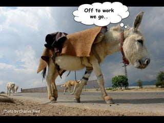 Off to work
                                       we go..




Photo	
  by	
  Charles	
  Fred	
  
 