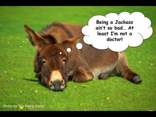 Being a Jackass
                                             ain’t so bad… At
                                              least I’m not a
                                                   doctor!




Photo	
  by	
  The	
  Flying	
  Gerbil	
  
 