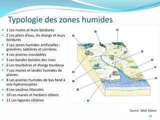 Typologie des zones humides
 1 Les mares et leurs bordures
 2 Les plans d'eau, les étangs et leurs
  bordures
 3 Les zones humides artificielles :
  gravières, sablières et carrières
 4 Les prairies inondables
 5 Les bandes boisées des rives
 6 Les tourbières et étangs tourbeux
 7 Les marais et landes humides de
  plaines
 8 Les prairies humides de bas fond à
  sols hydromorphes
 9 Les vasières littorales
 10 Les marais et herbiers côtiers
 11 Les lagunes côtières

                                           Source : SAGE Vilaine
                                                          22
 