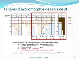 Critères d’hydromorphie des sols de ZH




              - 12ème CGLE, 26 janvier 2011, atelier 1 -   6
 