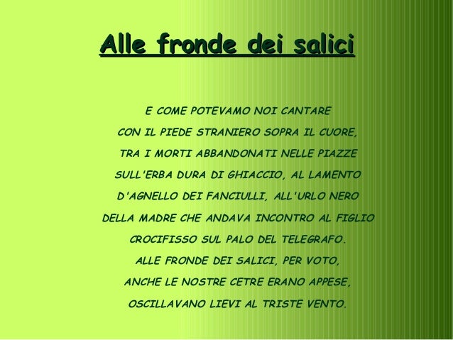 Alle fronde dei salici
