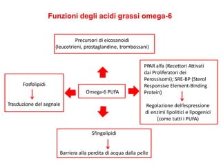Gli acidi grassi essenziali (EFA) “vitamina F” Omega-3 e -6