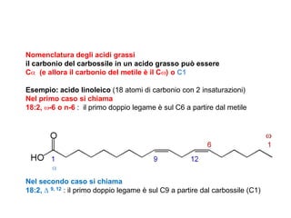 Gli acidi grassi essenziali (EFA) “vitamina F” Omega-3 e -6