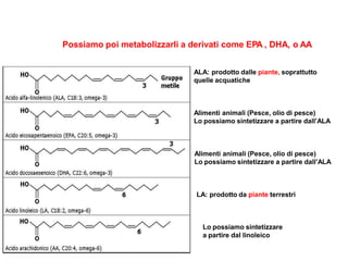 Gli acidi grassi essenziali (EFA) “vitamina F” Omega-3 e -6