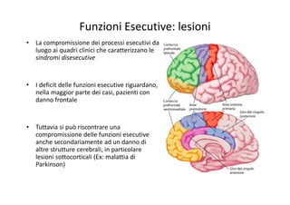 Funzioni Esecutive: lesioni
• La compromissione dei processi esecutivi da 
luogo ai quadri clinici che caratterizzano le 
sindromi disesecutive
• I deficit delle funzioni esecutive riguardano, 
nella maggior parte dei casi, pazienti con 
danno frontale
• Tuttavia si può riscontrare una
compromissione delle funzioni esecutive
anche secondariamente ad un danno di 
altre strutture cerebrali, in particolare
lesioni sottocorticali (Ex: malattia di 
Parkinson)
 