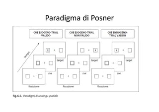Paradigma di Posner
 