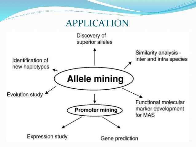allele mining