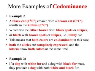 More Examples of Codominance
• Example 2
• A black cat (CbCb) crossed with a brown cat (CrCr)
results in the kittens (CbCr)
• Which will be either brown with black spots or stripes,
• or black with brown spots or stripes, i.e., tabby cat.
• This means that both colors are co-dominant in this case
• both the alleles are completely expressed, and the
kittens show both colors at the same time.
• Example 3:
• If a dog with white fur and a dog with black fur mate,
they produce a dog with both white and black fur.
 