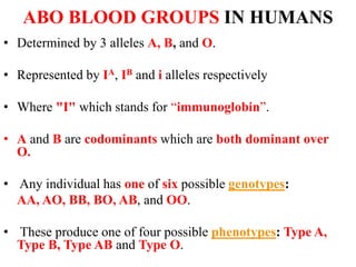 ABO BLOOD GROUPS IN HUMANS
• Determined by 3 alleles A, B, and O.
• Represented by IA, IB and i alleles respectively
• Where "I" which stands for “immunoglobin”.
• A and B are codominants which are both dominant over
O.
• Any individual has one of six possible genotypes:
AA, AO, BB, BO, AB, and OO.
• These produce one of four possible phenotypes: Type A,
Type B, Type AB and Type O.
 