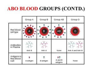 ABO BLOOD GROUPS (CONTD.)
 