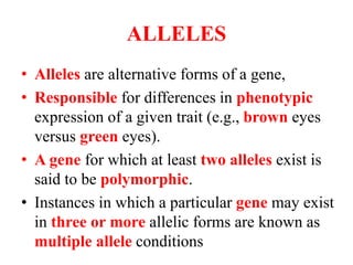 ALLELES
• Alleles are alternative forms of a gene,
• Responsible for differences in phenotypic
expression of a given trait (e.g., brown eyes
versus green eyes).
• A gene for which at least two alleles exist is
said to be polymorphic.
• Instances in which a particular gene may exist
in three or more allelic forms are known as
multiple allele conditions
 