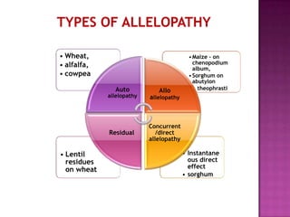 • Wheat,
• alfalfa,
• cowpea
Auto

Allo

allelopathy

• Lentil
residues
on wheat

allelopathy

Residual

• Maize – on
chenopodium
album,
• Sorghum on
abutylon
• theophrasti

Concurrent
/direct
allelopathy

• Instantane
ous direct
effect
• sorghum

 