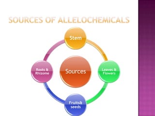 Stem

Roots &
Rhizome

Sources

Fruits&
seeds

Leaves &
Flowers

 