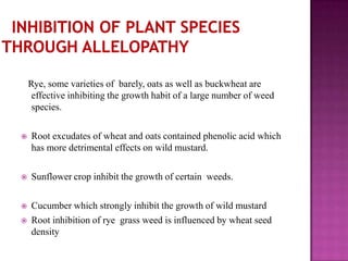 Rye, some varieties of barely, oats as well as buckwheat are
effective inhibiting the growth habit of a large number of weed
species.


Root excudates of wheat and oats contained phenolic acid which
has more detrimental effects on wild mustard.



Sunflower crop inhibit the growth of certain weeds.



Cucumber which strongly inhibit the growth of wild mustard
Root inhibition of rye grass weed is influenced by wheat seed
density



 
