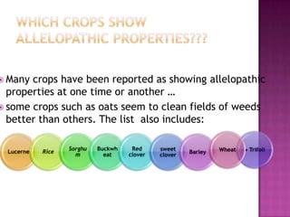  Many

crops have been reported as showing allelopathic
properties at one time or another …
 some crops such as oats seem to clean fields of weeds
better than others. The list also includes:
Lucerne

Rice

Sorghu
m

Buckwh
eat

Red
clover

sweet
clover

Barley

Wheat

• Trifoli

 