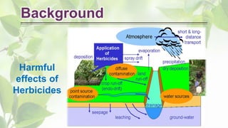 Background
Harmful
effects of
Herbicides
 