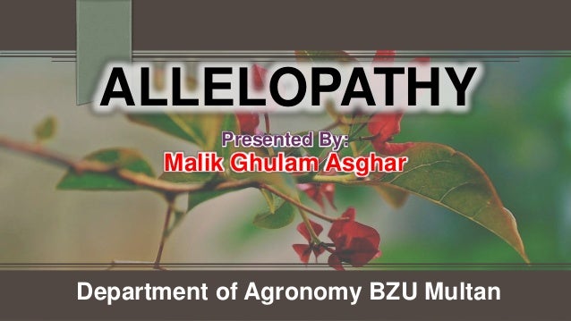 Allelopathy - 