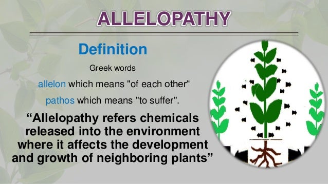Allelopathy - 