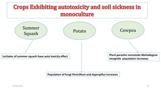 Allelopathy and its effects on vegetable production | PPTX