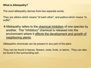 What is Allelopathy?
The word allelopathy derives from two separate words.
They are allelon which means "of each other", and pathos which means "to
suffer".
Allelopathy refers to the chemical inhibition of one species by
another. The "inhibitory" chemical is released into the
environment where it affects the development and growth of
neighboring plants.
Allelopathic chemicals can be present in any part of the plant.
They can be found in leaves, flowers, roots, fruits, or stems. They can also
be found in the surrounding soil.
 