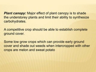 Plant canopy: Major effect of plant canopy is to shade
the understorey plants and limit their ability to synthesize
carbohydrates.
A competitive crop should be able to establish complete
ground cover.
Some low grow crops which can provide early ground
cover and shade out weeds when intercropped with other
crops are melon and sweat potato
 
