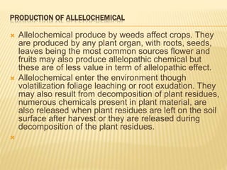 PRODUCTION OF ALLELOCHEMICAL
 Allelochemical produce by weeds affect crops. They
are produced by any plant organ, with roots, seeds,
leaves being the most common sources flower and
fruits may also produce allelopathic chemical but
these are of less value in term of allelopathic effect.
 Allelochemical enter the environment though
volatilization foliage leaching or root exudation. They
may also result from decomposition of plant residues,
numerous chemicals present in plant material, are
also released when plant residues are left on the soil
surface after harvest or they are released during
decomposition of the plant residues.

 