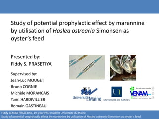Study of potential prophylactic effect by marennine
by utilisation of Haslea ostrearia Simonsen as
oyster’s feed
Presented by:
Fiddy S. PRASETIYA
Supervised by:
Jean-Luc MOUGET
Bruno COGNIE
Michèle MORANCAIS
Yann HARDIVILLIER
Romain GASTINEAU
Fiddy SEMBA PRASETIYA, 1st year PhD student Université du Maine
Study of potential prophylactic effect by marennine by utilisation of Haslea ostrearia Simonsen as oyster’s feed
 