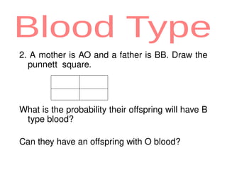 Understanding Multiple Alleles and Human Blood Types: Genetics ...