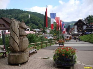 TRIBERG 
 